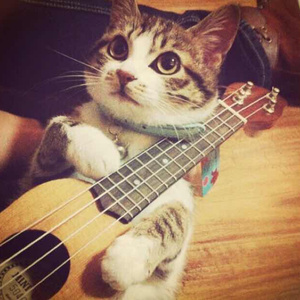 成人扒开🍑把手❌进去
